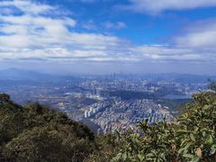 -梧桐山风景名胜区