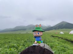 -新疆那拉提国家旅游度假区