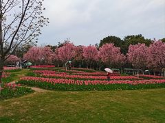 -凤凰沟景区