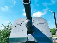 -上海吴淞炮台湾国家湿地公园