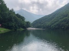 -龙道沟景区