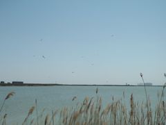 -天津东丽湖风景区