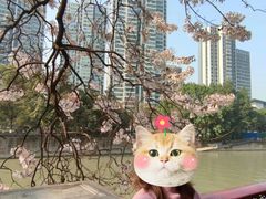 -红星桥(地铁站)