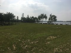 -鹅湖玫瑰文化园
