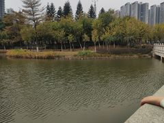 -映月湖公园