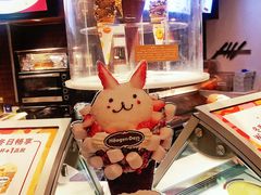 -哈根达斯(石家庄北国店)