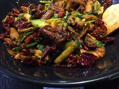 -食乐佳麻辣香锅(森林摩尔商业街区店)