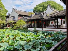 -上海醉白池公园