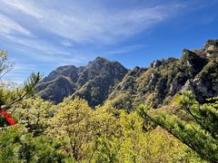 -王顺山国家森林公园