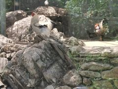 -幽岚山·童话森林