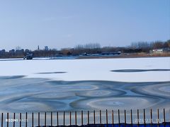 -大兴滨河森林公园