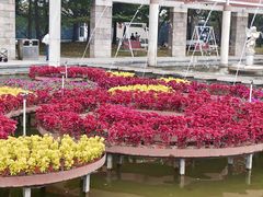 -石家庄市植物园