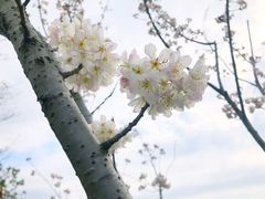 -南通鲜花小镇