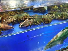 水产区-东江海鲜酒家(艺都分店)