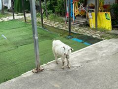 -小鱼草莓采摘园农家乐·小鱼餐厅