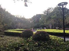 -徐家汇源景区-衡山公园
