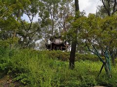 -上海市保健医疗中心