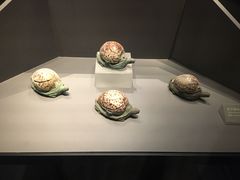 -大同市博物馆