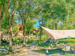 -白水寺森林公园