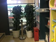 -新华书店(学府大道店)