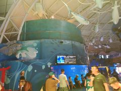 -烟台海昌鲸鲨海洋公园