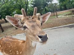 -秦皇岛野生动物园