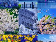 -徐家汇公园