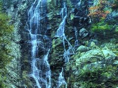 -黑河国家森林公园