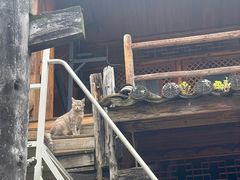 -田德能咖啡博物馆