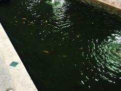 -水都餐厅