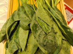 -蝎王府羊蝎子(虎坊桥总店)