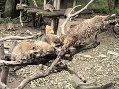 -宁波野生动物园