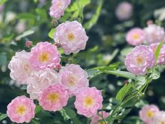 -相门城墙文化休闲景区