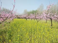 -秦岭风景区