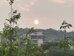 -福道