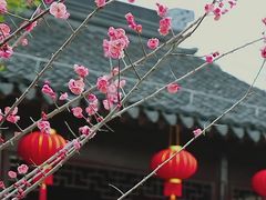 -南园(太仓市)