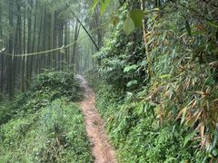 -莫干山风景区
