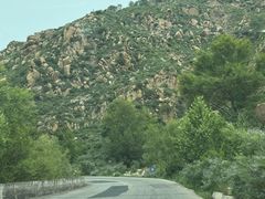 -芦芽山旅游度假区