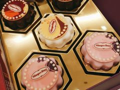 -哈根达斯(国瑞店)