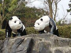 -都江堰中华大熊猫苑