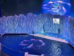-珠海长隆海洋王国