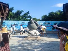 -广东惠东海龟国家级自然保护区