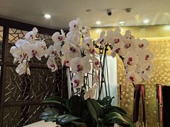 -南京钟山宾馆(江苏省会议中心)