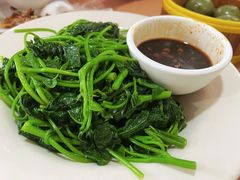 白灼红薯叶-吉莲利苑海鲜酒家(珠海拱北29年老字号店)