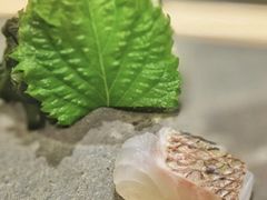 -鮨一日本料理(大中华店)