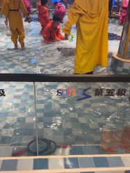 -第五极儿童乐园