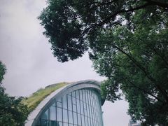 -上海吴淞炮台湾国家湿地公园