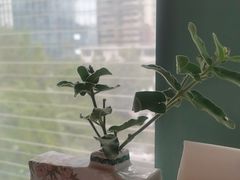 -南堂馆·新川菜(春熙路店)