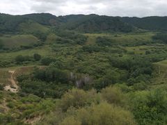 -塞罕坝国家级自然保护区