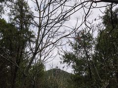 -云龙山